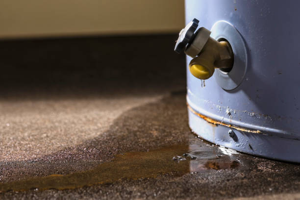 Best Water damage contractors near me  in Smyrna, GA