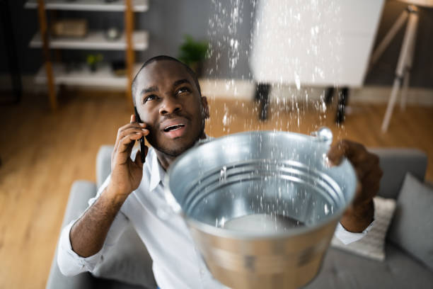 Best Flood damage cleanup  in Smyrna, GA