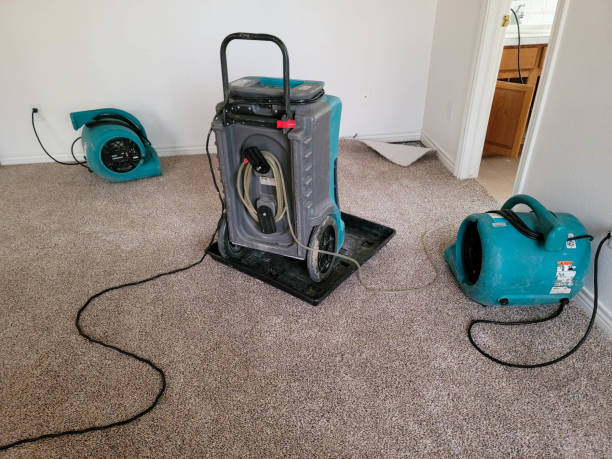 Best Water damage repair service  in Smyrna, GA