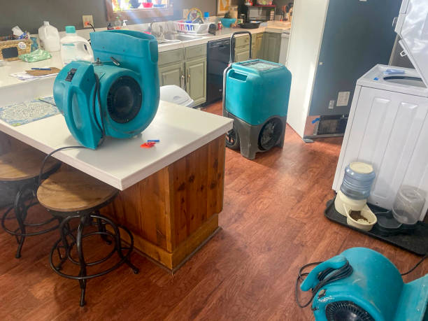 Best Water damage cleanup near me  in Smyrna, GA