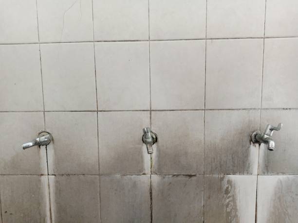 Best Local water damage restoration  in Smyrna, GA