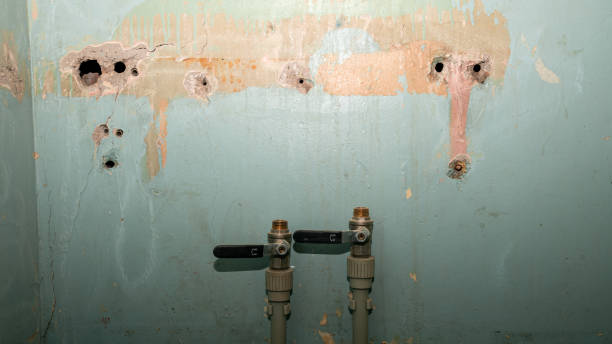 Best Flood restoration services  in Smyrna, GA