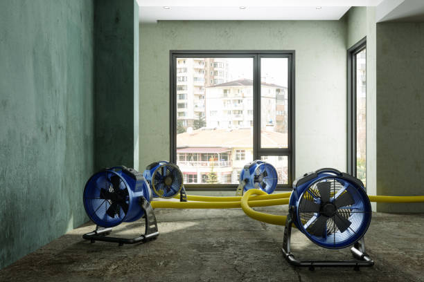 Best Water damage restoration near me  in Smyrna, GA